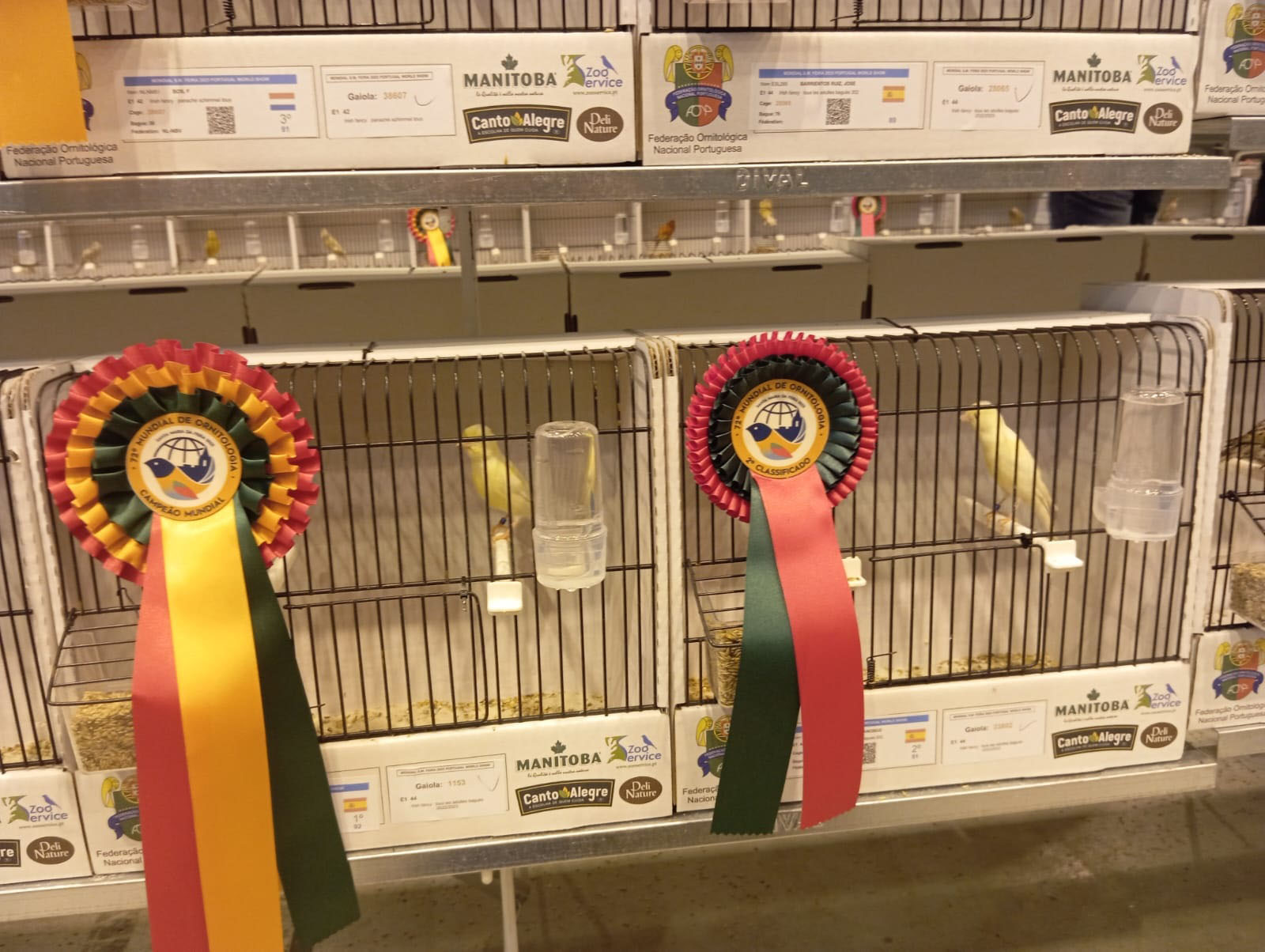 Francisco Piedra Ruiz gana con un canario el Campeonato Mundial de Ornitología