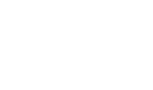 Radio Rute